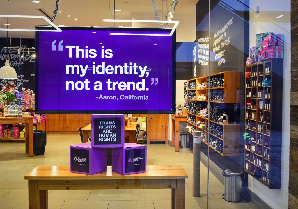 Image of a Lush Cosmetics store window. In the background of the image there are shelves stacked with products. In the foreground there is a screen that reads "This is my identity, not a trend. - Aaron, California". The text is white on a purple background. Beneath are 3 purple and black cubes stacked in a triangle. The top one reads "Trans rights are human rights". The bottom two show the logos for the National Centre for Transgender Equality and the Canadian Centre for Gender and Sexual Diversity.